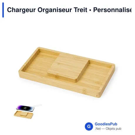 Chargeur Organiseur Treit
