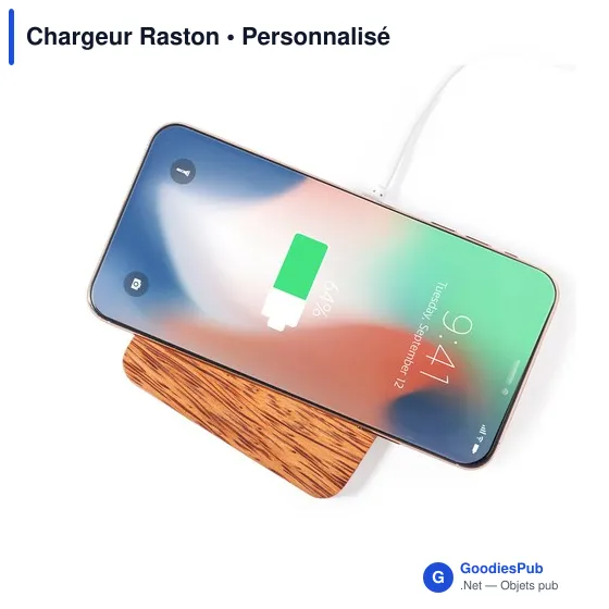 Chargeur Raston - Image 3