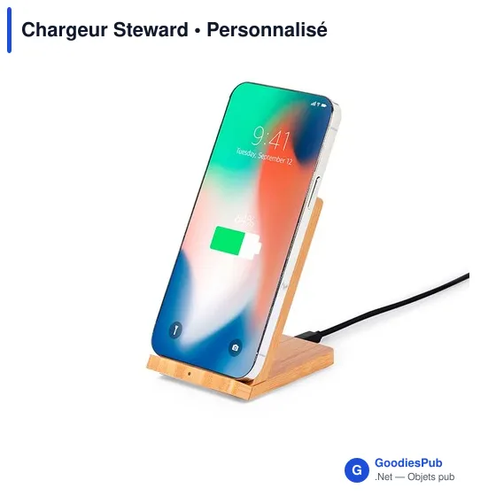 Chargeur Steward - Image 3