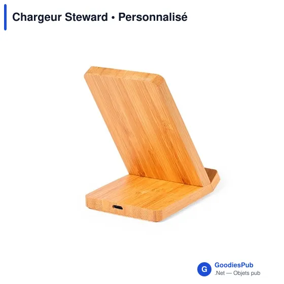 Chargeur Steward - Image 4