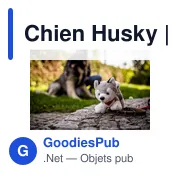 Chien Husky | Trooper - Miniature 2