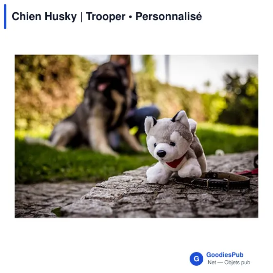 Chien Husky | Trooper - Image 2