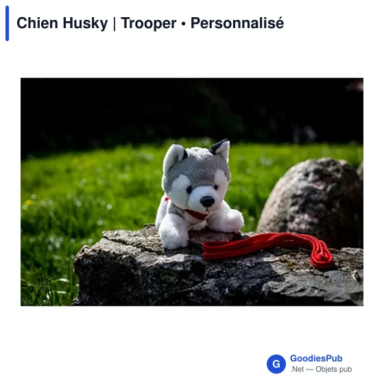 Chien Husky | Trooper - Image 3