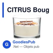 CITRUS Bougie en cire végétale 300 gr - Miniature 1