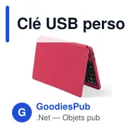 Clé USB personnalisable avec logo pour entreprises - Miniature 11