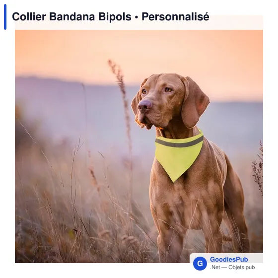 Collier bandana personnalisable pour animaux avec logo - Image 3