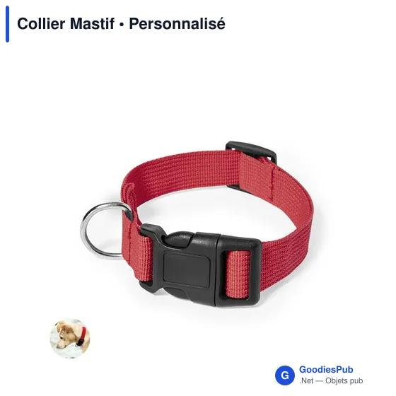 Collier Mastif - Image 10