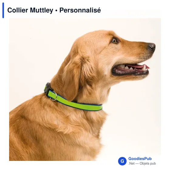 Collier réfléchissant Muttley personnalisable avec logo - Image 9