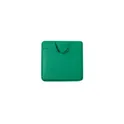 Variante vert - Coussin Rostel