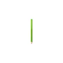 Variante vert - Crayon Carpintero