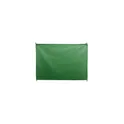 Variante vert - Drapeau Dambor