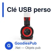 Clé USB personnalisable avec logo pour entreprises - Miniature 11