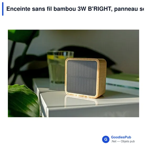 Enceinte sans fil personnalisable en bambou avec logo | Androwe - Image 9