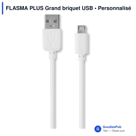 FLASMA PLUS Grand briquet USB - Image 3