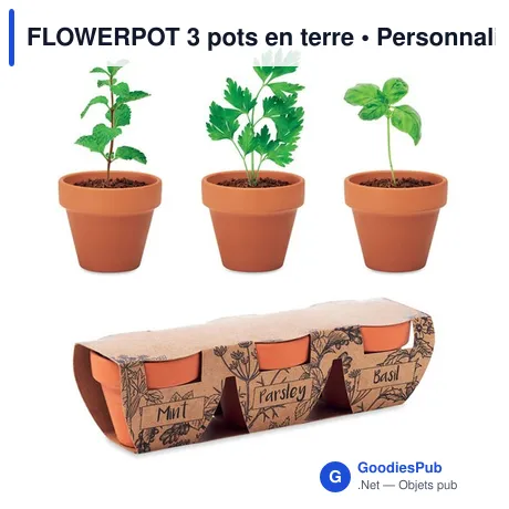 FLOWERPOT 3 pots en terre