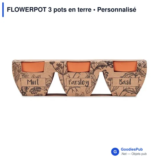 FLOWERPOT 3 pots en terre - Image 2