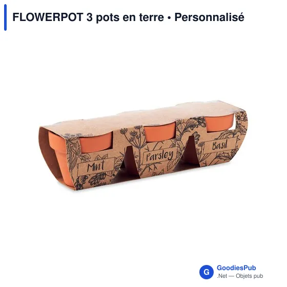 FLOWERPOT 3 pots en terre - Image 3