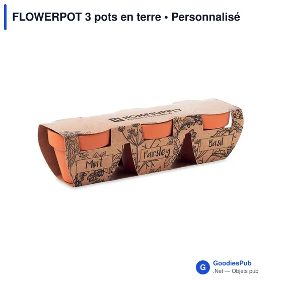 FLOWERPOT 3 pots en terre - Image 5