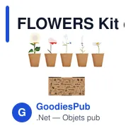 FLOWERS Kit de culture fleurs - Miniature 1