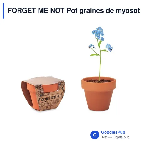FORGET ME NOT Pot graines de myosotis