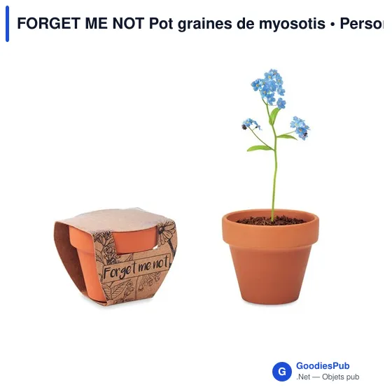 FORGET ME NOT Pot graines de myosotis - Image 1