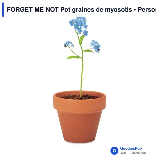 FORGET ME NOT Pot graines de myosotis - Image 5
