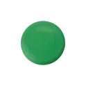 Variante vert - Frisbee en plastique Jolie