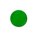 Variante vert - Frisbee Girud