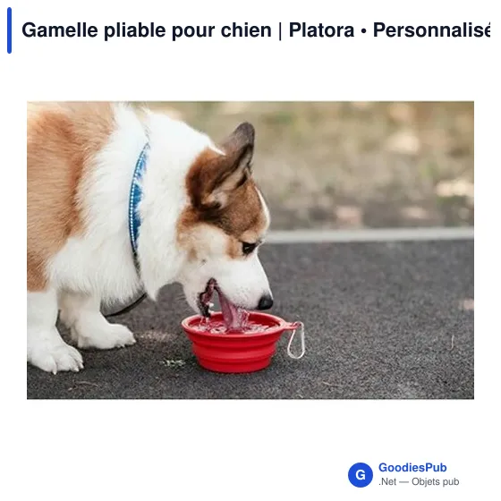 Gamelle pliable personnalisable pour chien avec logo - Platora - Image 2