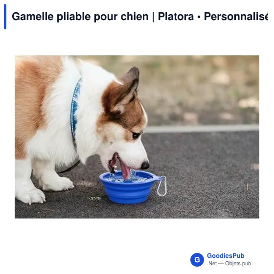 Gamelle pliable personnalisable pour chien avec logo - Platora - Image 10