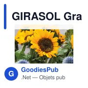 GIRASOL Graines de tournesol - Miniature 5