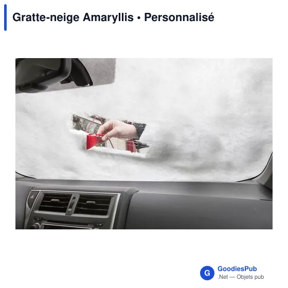 Gratte-neige personnalisable Amaryllis avec logo - Image 5