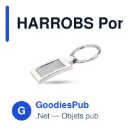 HARROBS Porte-clés rectangulaire métal - Miniature 1