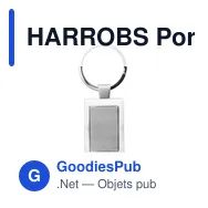HARROBS Porte-clés rectangulaire métal - Miniature 2