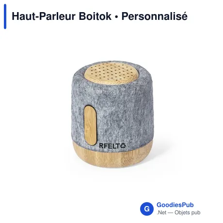 Haut-Parleur Boitok