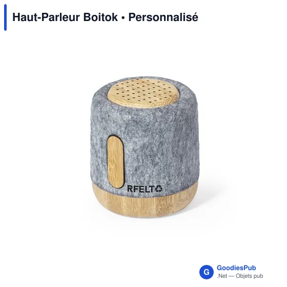 Haut-Parleur Boitok - Image 1