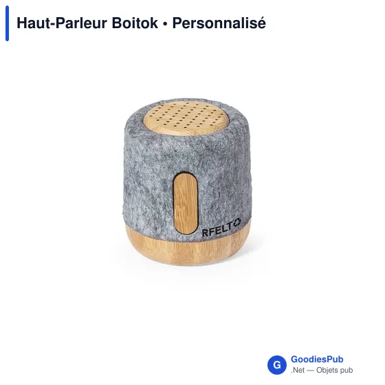 Haut-Parleur Boitok - Image 2