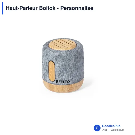 Haut-Parleur Boitok - Image 3