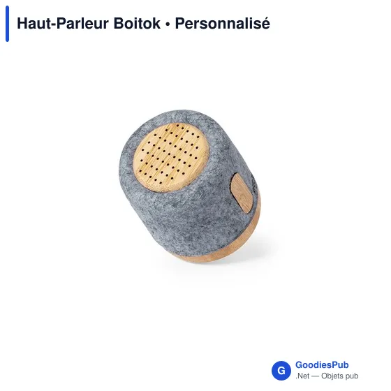 Haut-Parleur Boitok - Image 4