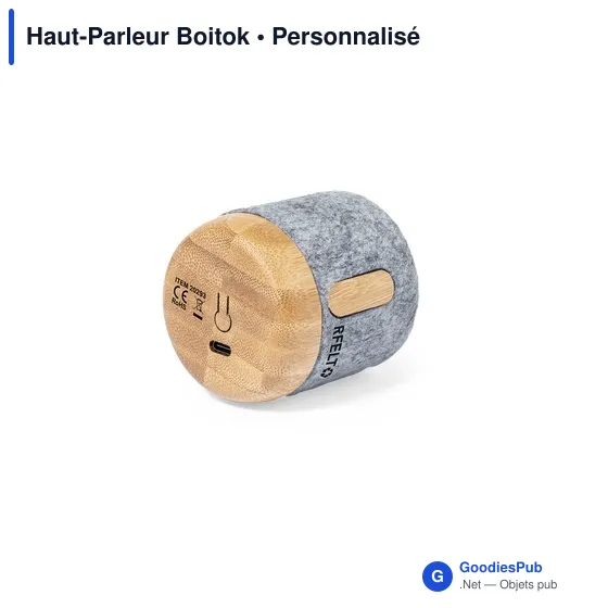 Haut-Parleur Boitok - Image 5