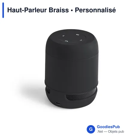 Haut-Parleur Braiss