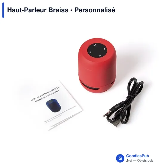Haut-Parleur Braiss - Image 3