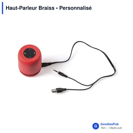 Haut-Parleur Braiss - Image 6