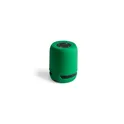 Variante vert - Haut-Parleur Braiss