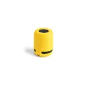Variante jaune - Haut-Parleur Braiss