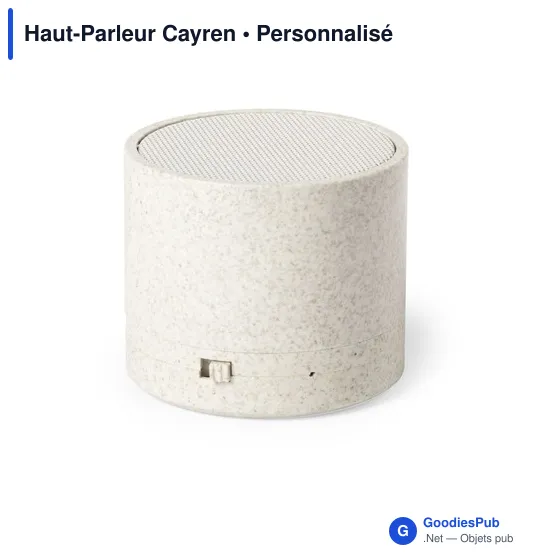 Haut-Parleur Cayren - Image 2
