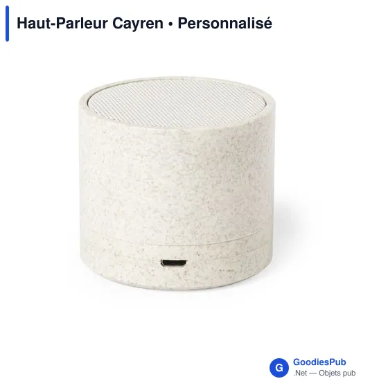 Haut-Parleur Cayren - Image 3