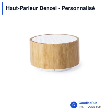Haut-Parleur Denzel