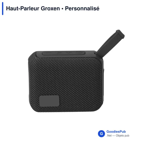 Haut-Parleur Groxen - Image 6