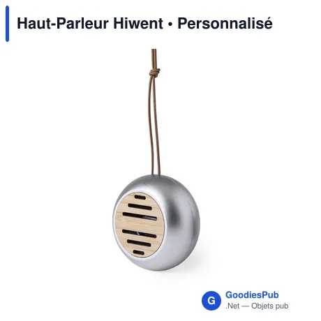 Haut-Parleur Hiwent